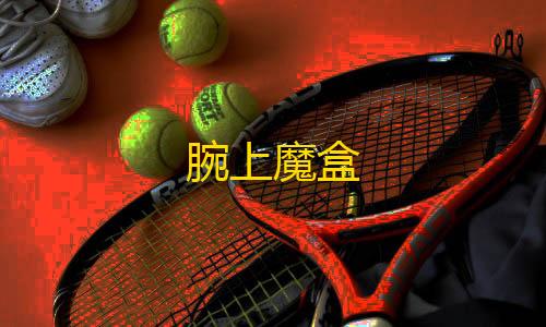 暗区突围开挂网站腕上魔盒